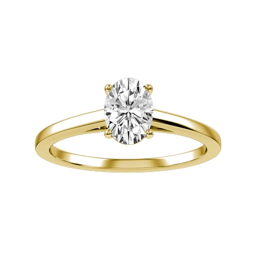Completed Ring (Europe Size 49.3)